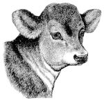 Missouri Grass Fed Beef 219 Missouri Grass Fed Beef 219