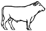 Missouri Grass Fed Beef 223
