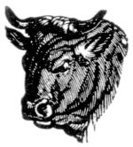 Missouri Grass Fed Beef 228 Missouri Grass Fed Beef 228