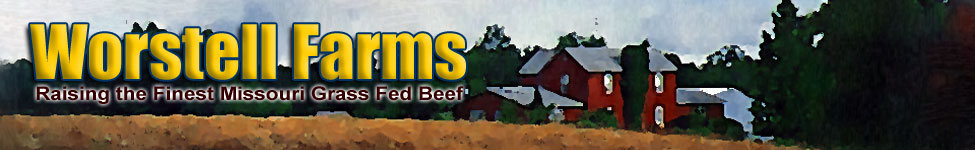 Best Missouri Grass Fed Beef